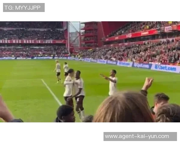 明星足球队激战赛场群星闪耀激情四溢引发球迷热烈追捧